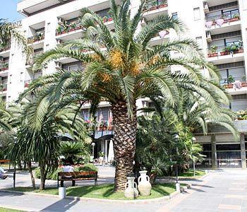 Rondo' Hotel Bari Exterior photo